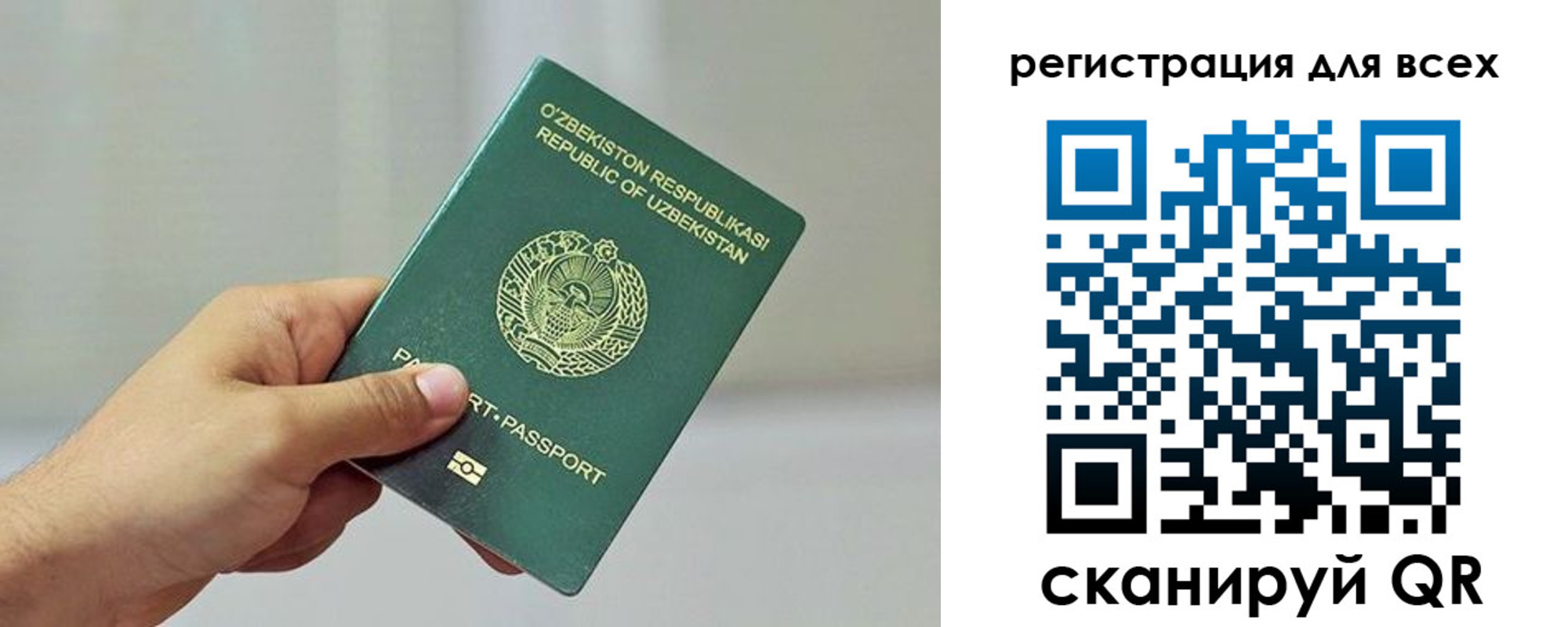 прописка ребенка в Елизово
